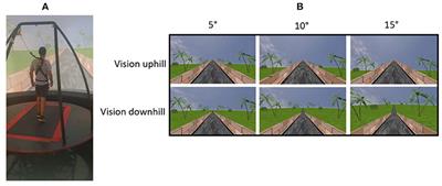 Gait Speed Modulations Are Proportional to Grades of Virtual Visual Slopes—A Virtual Reality Study